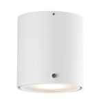Nordlux IP S4 White Ceiling Light